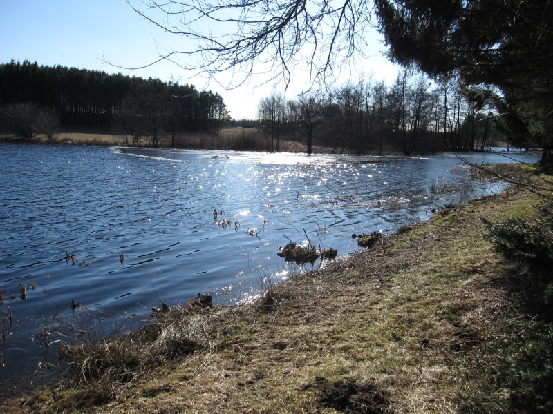 EDB afslutning hos AG forår 2011_4