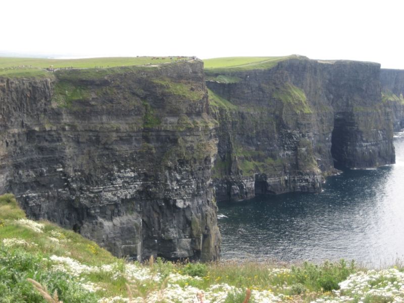 Pouls blandede billeder_29