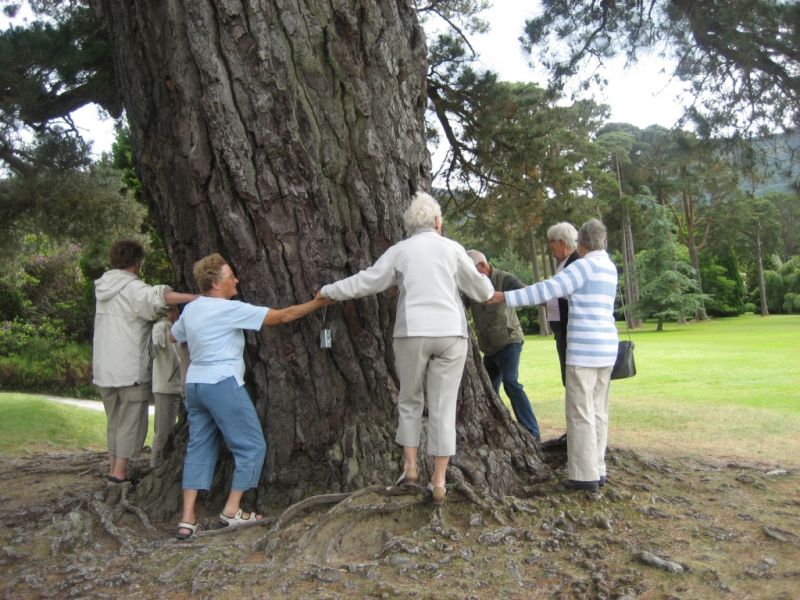 Pouls blandede billeder_30