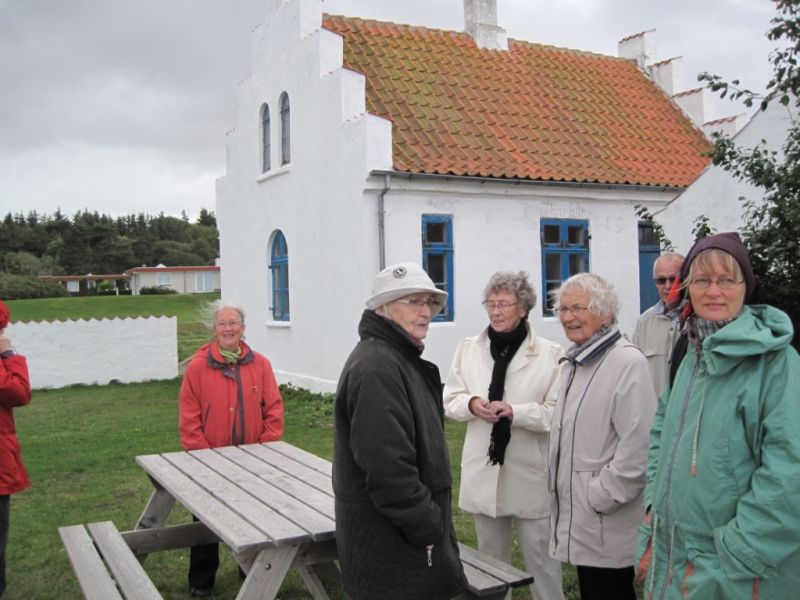 Pouls blandede billeder_5