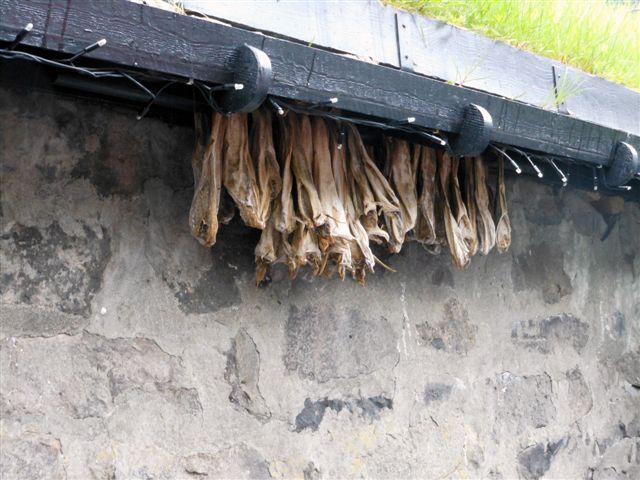 Færøerne 2013_7