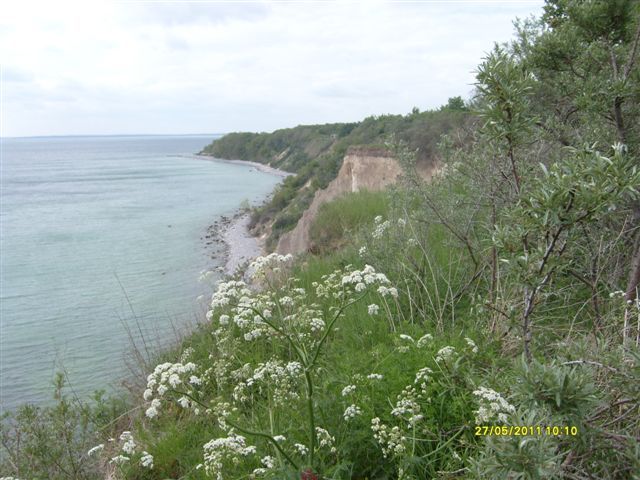 Rügen 2011_3