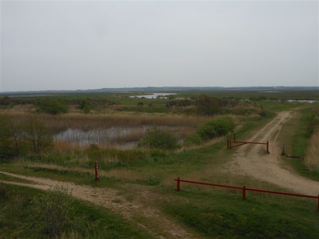 Vedersø og Skjern 2014_27