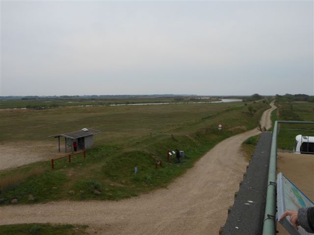 Vedersø og Skjern 2014_28